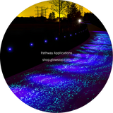 GTB8900 Ocean Premium Grade Photoluminescent Pigments